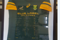jerseys-II