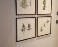 CapturContemporary-frame