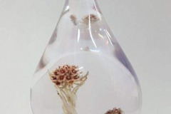 Daya-Heller-Botanical-Drop-Sculpture