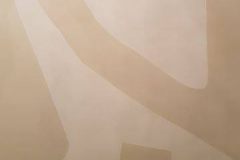 Gabi-Lee-Smit-biscuit-abstract-on-paper