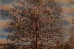 Jan-Tshitkutuhla-Soft-pastels-on-paper