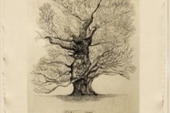 Lyndi-Sales-Black-White-Trees